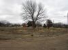 12016 Joyce Ln photo